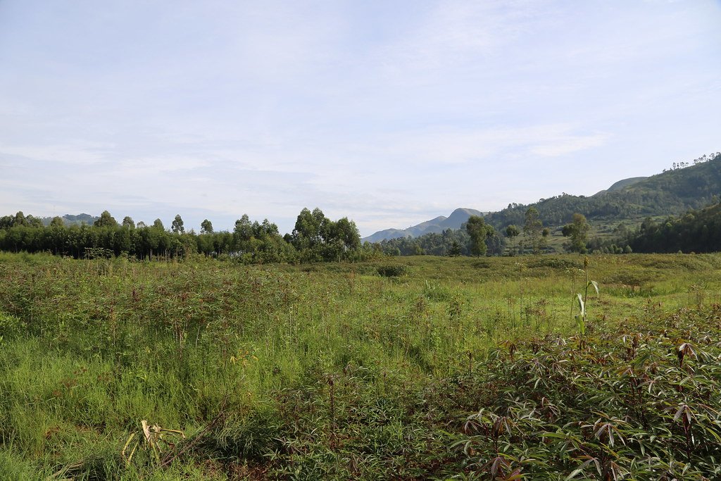 Gold mining Africa workers