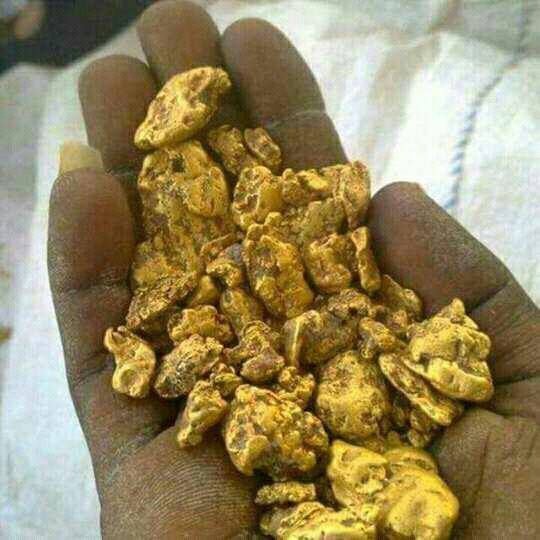 Gold nuggets