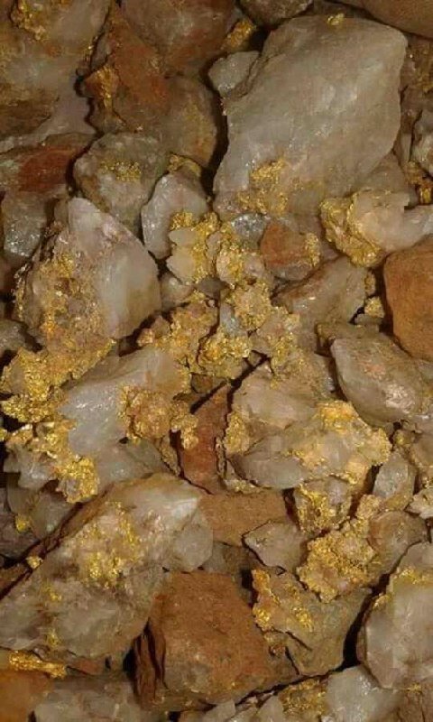 Gold in quartz ore